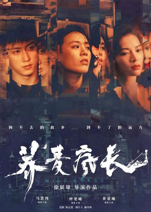 假外国大学毕业证
